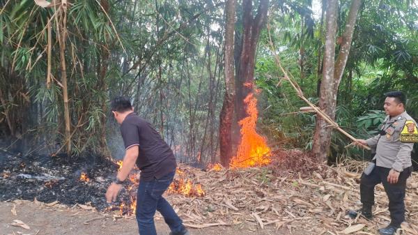 Musim Kemarau, Kebakaran Lahan Terjadi di Jatiluhur Purwakarta