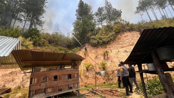 Karhutla Tawalian Mamasa, 10 Hektare Lahan Terbakar Nyaris Dekati Permukiman Warga