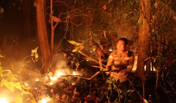 Kebakaran Hutan Besipae Meluas, Tim Gabungan TTS Berjibaku Padamkan Api