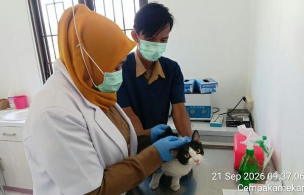 Rabies Masih Jadi Ancaman, Banyak Hewan Liar Belum Tervaksinasi di KBB