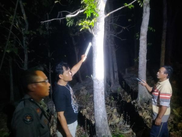 Tragis! Ambil Daun Untuk Pakan Ternak, Seorang Lansia Pria di Grobogan Tewas Tersengat Listrik