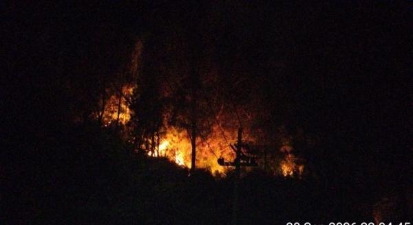 Karhutla Kembali Melanda Pegunungan Ijen, 20 Hektare Lahan Terbakar