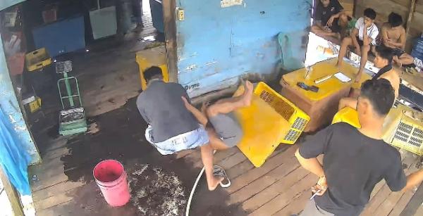 Nelayan di Natuna Diduga Dipukul Usai Rekam Aktivitas Pengeboman Ikan