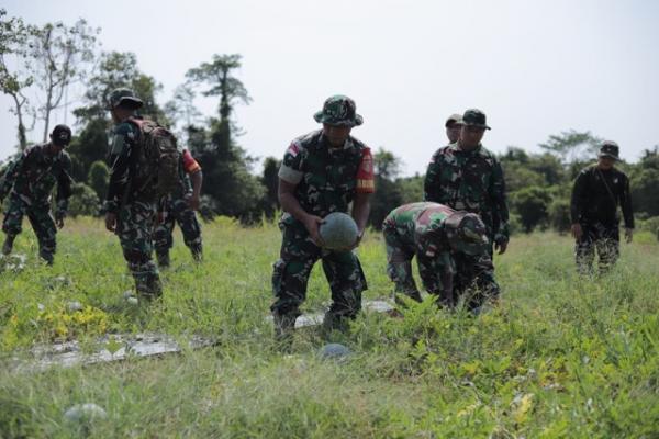 Kompi Produksi Kodim 0910/Malinau Panen 3,5 Ton Semangka Dukung Ketahanan Pangan