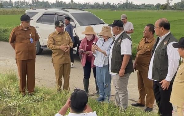Dari Bencana Menuju Kebangkitan, Pidie Jaya Kebut Rehab-Rekon: Hunian hingga Ekonomi Warga Dikebut