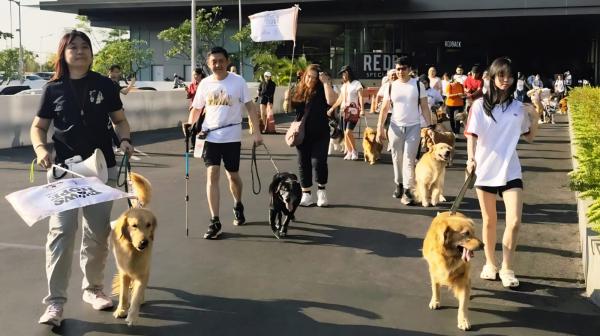 Masih SMA, Pelajar di Surabaya Ini Lakukan Gerakan Selamatkan Anjing Telantar