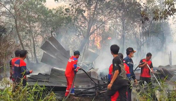 Karhutla di Palangka Raya Meluas, Api Merembet Bakar Rumah Warga Dalam Kondisi Kosong