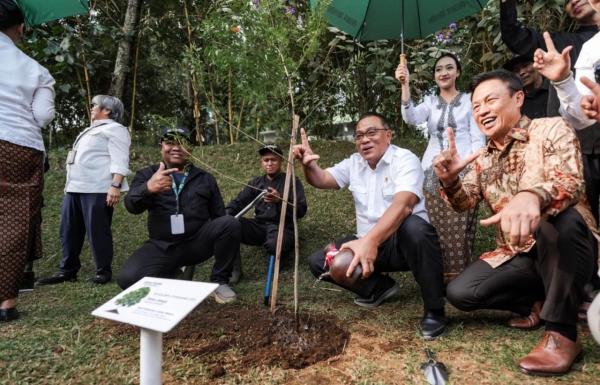 Menteri Lingkungan Hidup Sorot Megamendung, Ekowisata Diminta Jadi Pemulihan