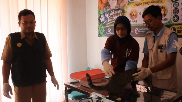 46 Kucing di Blora Divaksin Rabies Gratis, 4 Hewan Dapat Perawatan