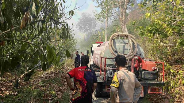 Polisi dan Satgas Karhutla Jibaku Padamkan Kebakaran 8,3 Hektare Lahan di Polman