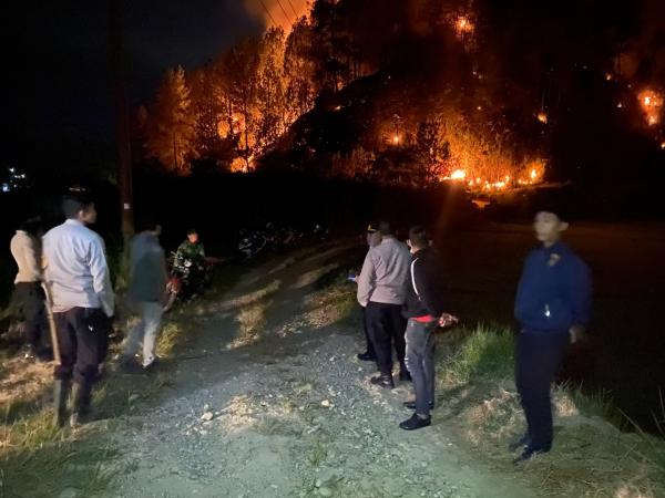 Niat Bantu Padamkan Karhutla di Mamasa, 4 Warga Malah Terjebak Api