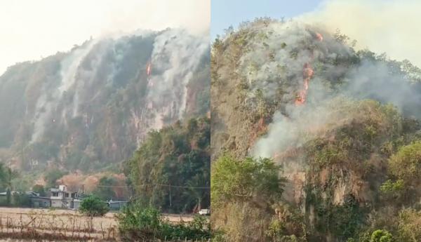 Karhutla Landa Taman Nasional Babul di Pangkep, 21,51 Hektare Kawasan Gunung Lesang Terbakar