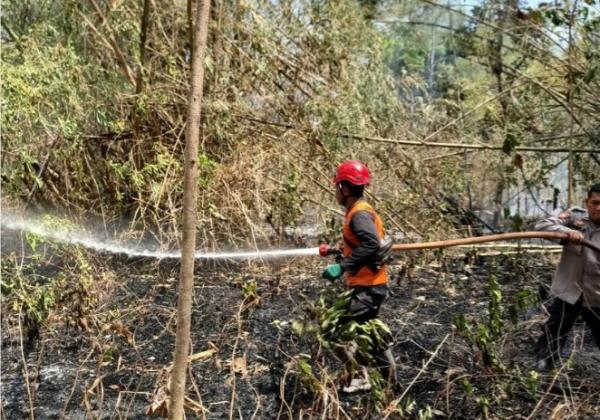 Rumpun Bambu di Tawangharjo Grobogan Hangus Terbakar, Nyaris Merembet ke Permukiman Warga