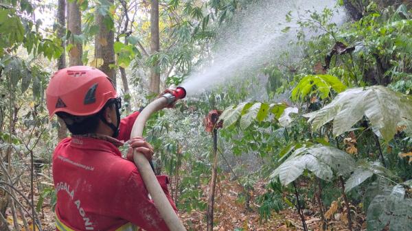 Karhutla Gunung Lesang Pangkep Meluas, Api Merambat ke Karst Matojeng
