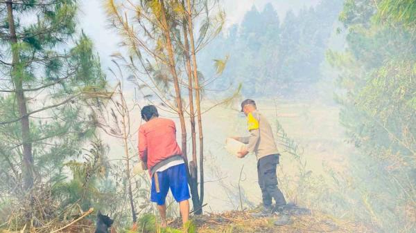 Kebakaran Lahan di Nosu Mamasa, Polisi dan Warga Padamkan Api Pakai Alat Seadanya