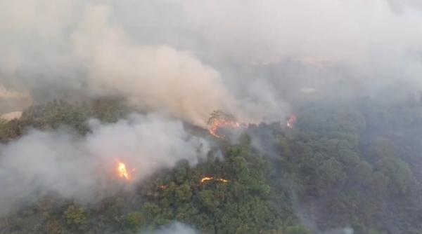 Karhutla Sambutan Samarinda Merembet ke Jalan Poros, Arus Lalu Lintas Sempat Ditutup