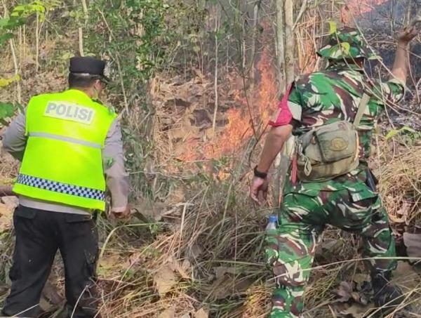 Dua Hektare Hutan Perhutani di Kebumen Terbakar, Api Dipadamkan Manual