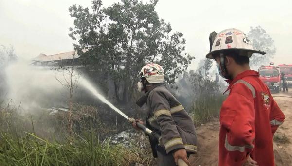 Karhutla di Palangka Raya Meluas, Api Menjalar hingga Membakar Rumah Warga