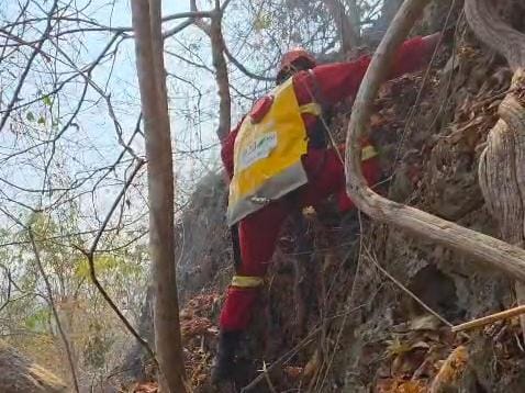 Dramatis! Pemadaman Karhutla Taman Nasional Bantimurung Bulusaraung di Pangkep