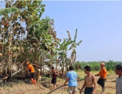 Lagi Kebakaran Lahan di Purwodadi, Respons Cepat Tim Gabungan Berhasil Padamkan Api dalam Satu Jam