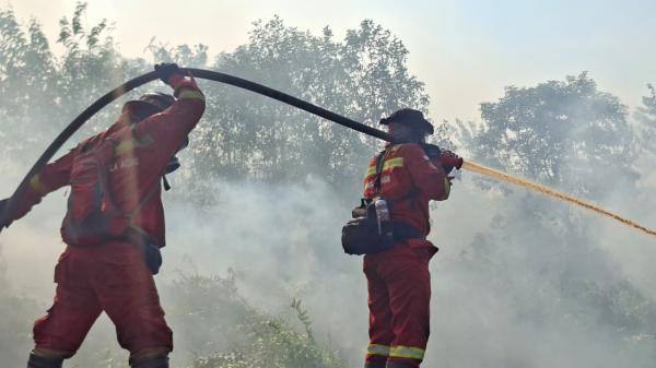 Kabut Asap, Pemkab Kuansing Liburkan Siswa