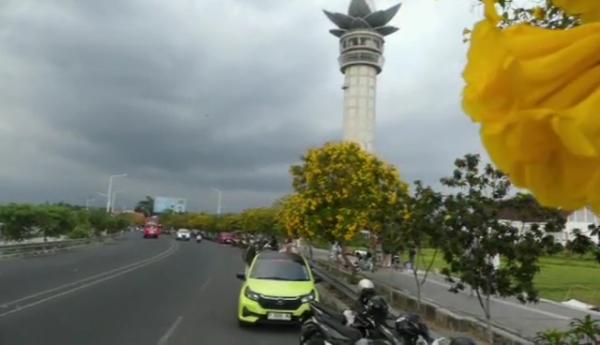 Tabebuya Bermekaran, Sudut Kota Purwokerto Disulap Bak Musim Semi Jepang