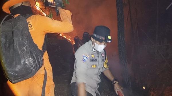 Api Kembali Menyala Usai Padam, 9 Hektare Lahan di Mamasa Terbakar