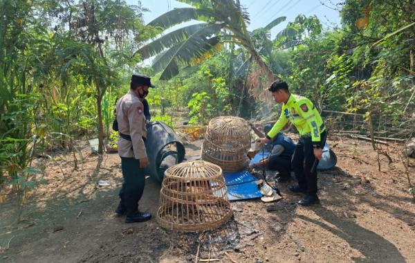 Arena Sabung Ayam di Bungurasih Waru Sidoarjo, Polisi Turun dan Bongkar Lokasi 