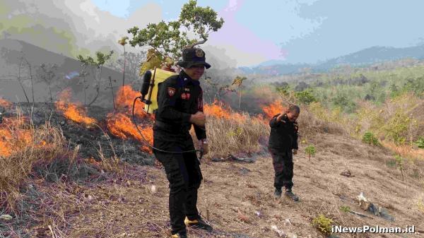 Kobaran Api Hanguskan Lahan 30 Hektare di Polman, Polisi dan Damkar Turun Tangan