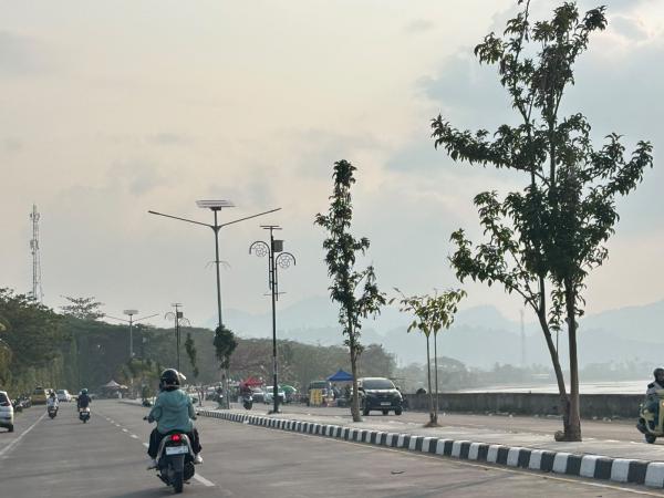 Kualitas Udara Memburuk Efek Asap Karhutla, Warga Sulbar Diminta Segera ke Faskes Jika Sesak