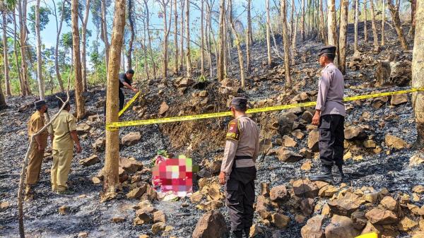 Petani 74 Tahun Tewas Saat Bakar Daun Jati di Ladang Pagerwojo
