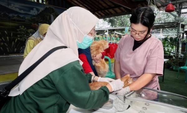 Cegah Rabies, Anabul di Tangerang Dapat Vaksin Gratis