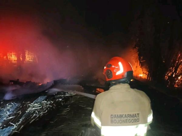 Kebakaran Kandang Ternak di Kepohbaru Bojonegoro, Api Diduga Menjalar dari Pembakaran Sampah