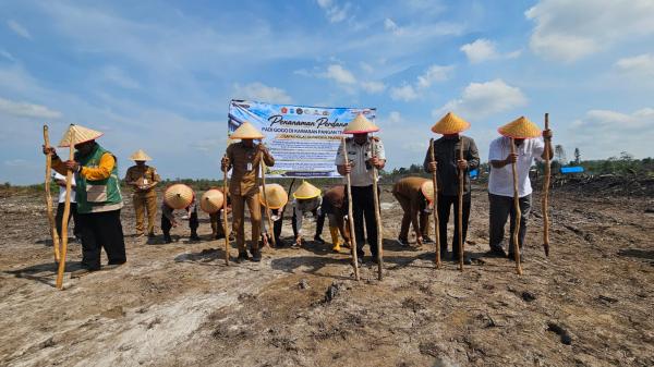 Lapas Pangkalpinang Tanam Padi Gogo Khas Bangka, Bangun Kawasan Pangan Terpadu di Tuatunu