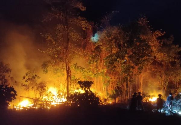 Angin Kencang Picu Api Cepat Meluas, 4 Hektare Lahan Warga di Malunda Majene Hangus Terbakar