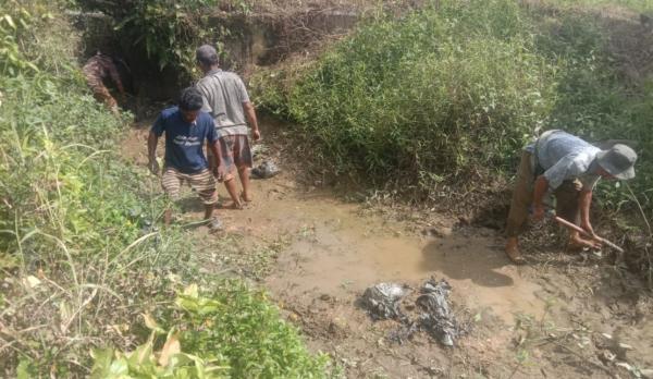 Petani Kluet Utara Keluhkan Belum Terima Program BASAGA, Akses Air Sawah Juga Jadi Persoalan