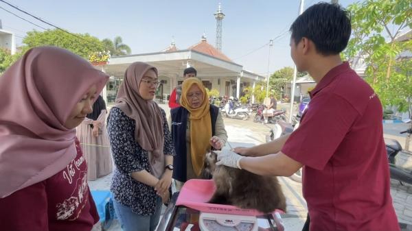 Cegah Rabies, Disnakeswan Lamongan Datangi Rumah Warga untuk Vaksinasi Kucing