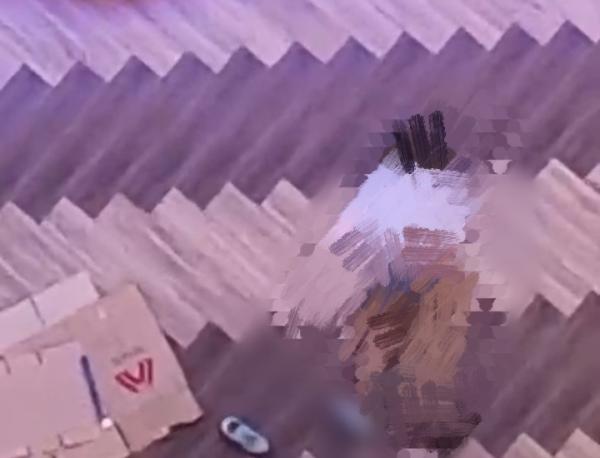 Viral Video Pria Jatuh dari Gedung Kampus, Ternyata Bukan Mahasiswa UNPRI