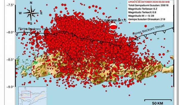 BMKG Catat 39 Gempa Susulan Flores di Atas M5, Total Kejadian Capai 20.619