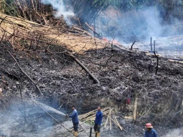 Damkar BPBD Sidoarjo Ingatkan Bahaya Bakar Sampah, Kebakaran Lahan Bisa Merembet ke Pemukiman