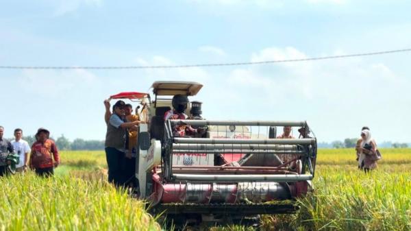 Serap 4,1 Juta Ton Beras, BULOG Sumut Kejar Sisa Target 10.956 Ton