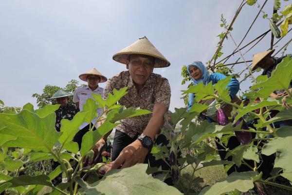 Bojonegoro Bidik Status Lumbung Pangan Jatim, Ini Langkah Bupati Wahono