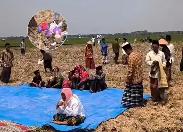 Viral Warga Bojonegoro Shalat Istisqa di Sawah yang Kering, Sore Langsung Hujan? Begini Faktanya