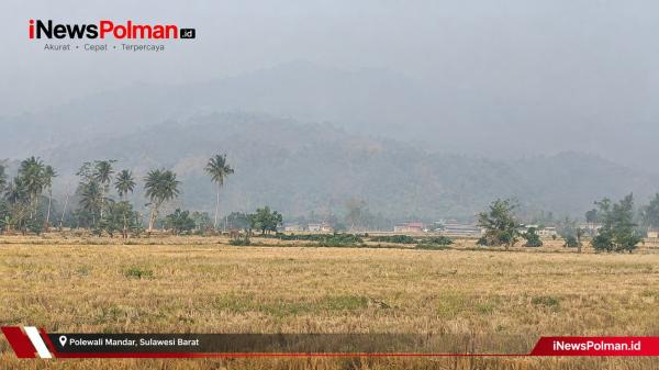 Asap Kebakaran Diduga Menyelimuti Polman, Perbukitan Menghilang dari Pandangan