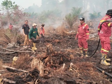 Masuk Hari Kedua, Karhutla di Tommo Mamuju Belum Padam, Tim Gabungan Siaga Cegah Api Meluas