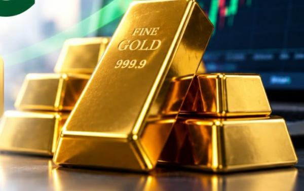 Dugaan Manipulasi Trading, Data Deposit dan Penarikan Disorot
