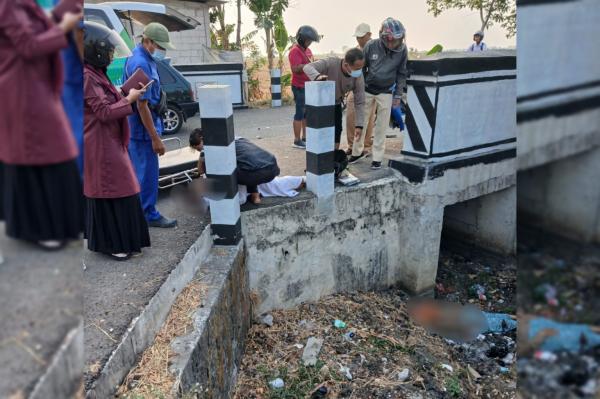 Tabrakan Brio Vs Scoopy di Kapas Bojonegoro, Begini Kronologi Menurut Polisi