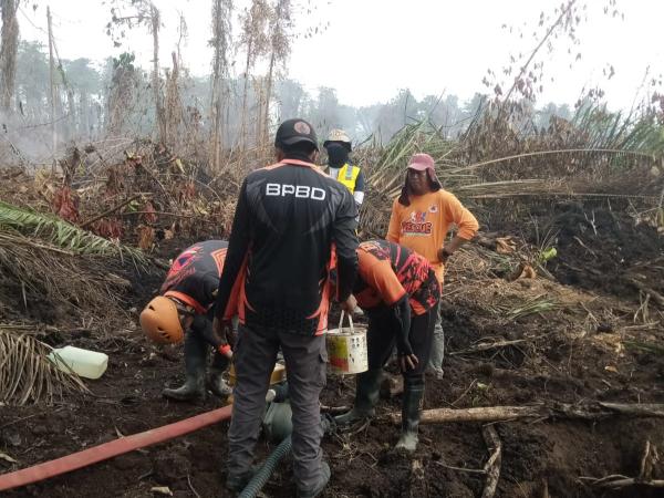 Karhutla Seluas 20 Hektare Landa Desa Buana Sakti Tommo, Tim Gabungan Buat Jalur Pemutus Api
