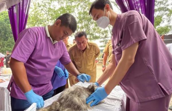 Cegah Rabies, Ratusan Anabul di Tangerang Antre Vaksinasi Gratis