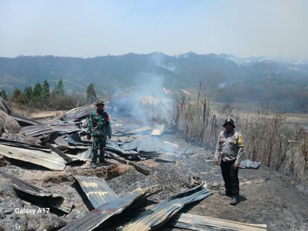 Karhutla di Nosu Mamasa, 5 Hektare Lahan Kopi dan Satu Rumah Warga Ludes